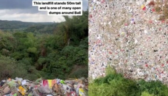 64cf13af4d332-viral-gunung-sampah-di-bali-jadi-sorotan-bule_665_374