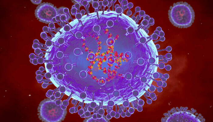 Human-Metapneumovirus